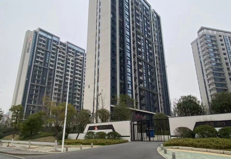 武汉未来城项目